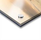 Twinkle Acrylic print