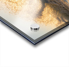 FORCE FIELD Acrylic print