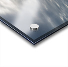 ANGEL WINGS  Acrylic print