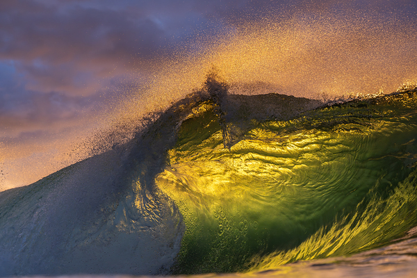 HIEROGLYPHICS  Print