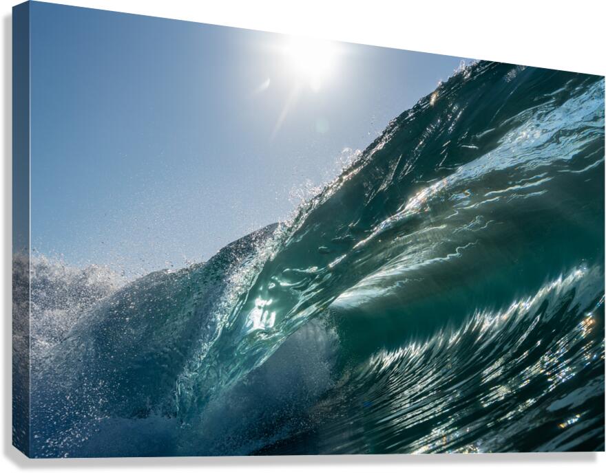 STELLAR Canvas Print