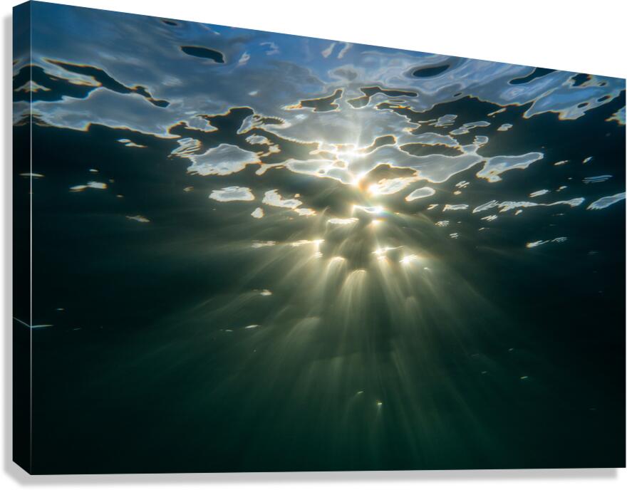 Ascend  Canvas Print