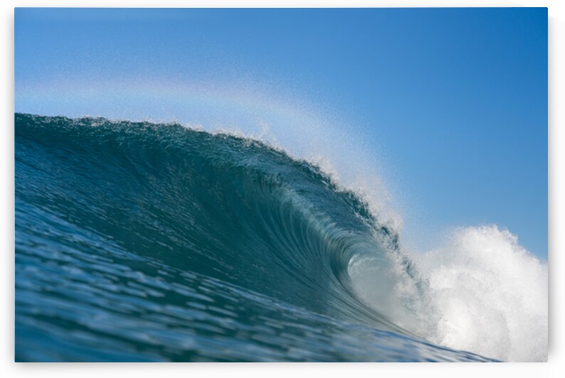 Fairy Tail by Terence Pieters ORANGE ROCKS