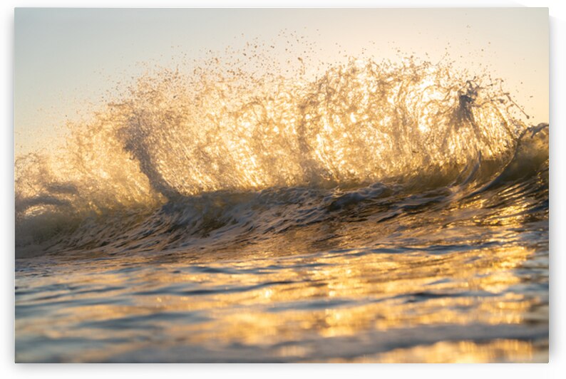 FORCE FIELD by Terence Pieters ORANGE ROCKS
