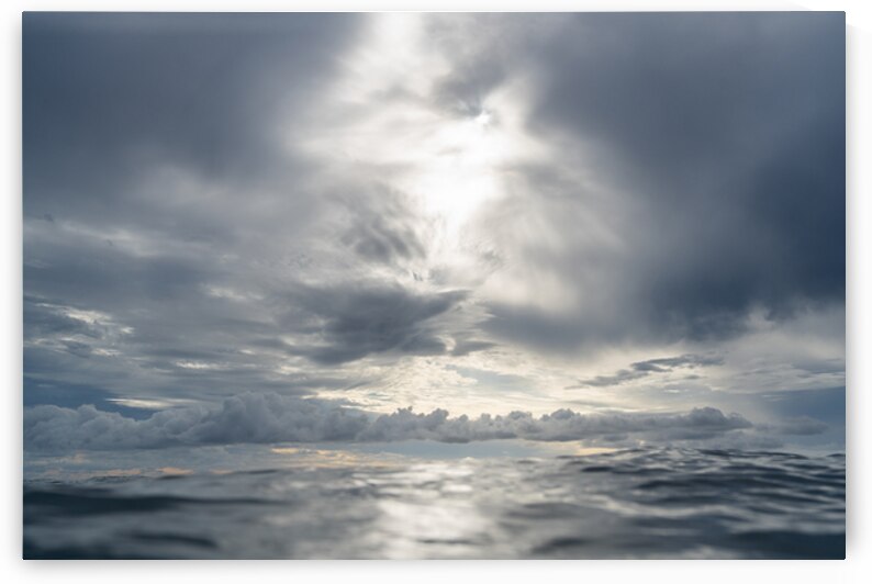ANGEL WINGS  by Terence Pieters ORANGE ROCKS