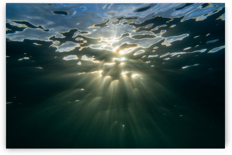 Ascend  by Terence Pieters ORANGE ROCKS