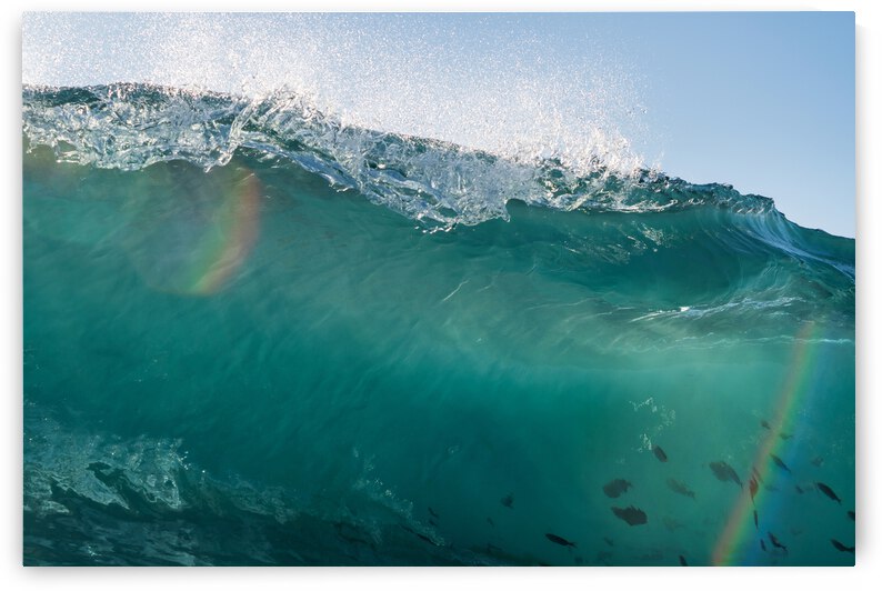 Rainbow Fish by Terence Pieters ORANGE ROCKS