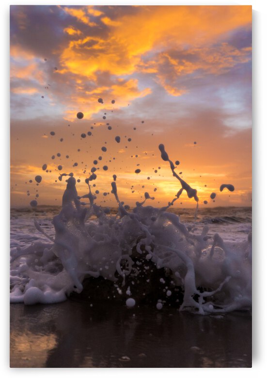 Sea Dance by Terence Pieters ORANGE ROCKS