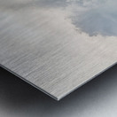 HERCULES Metal print