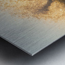 FORCE FIELD Metal print