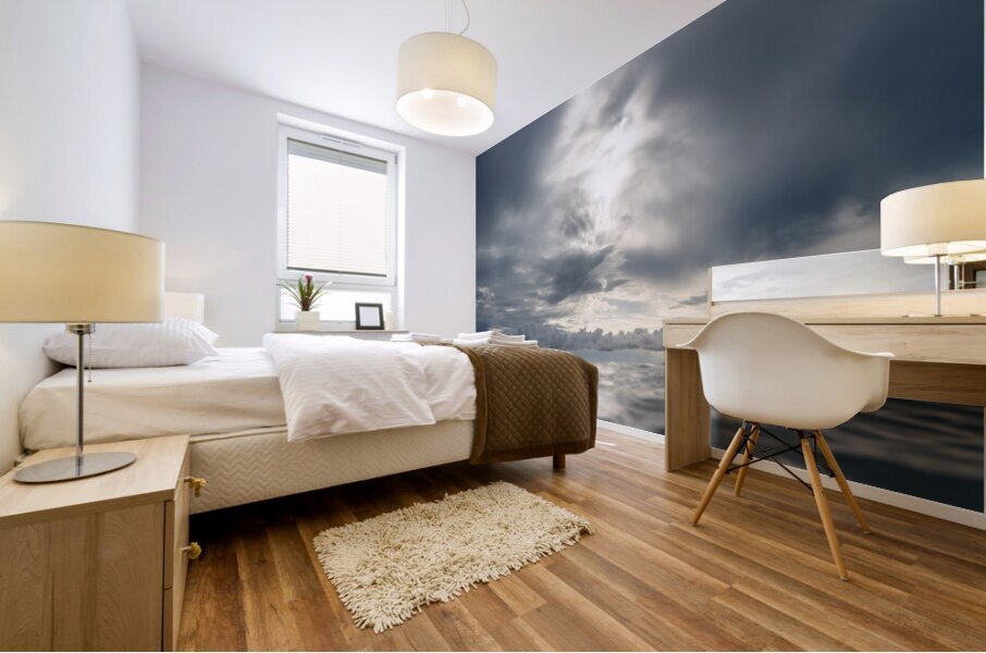 ANGEL WINGS  Mural print