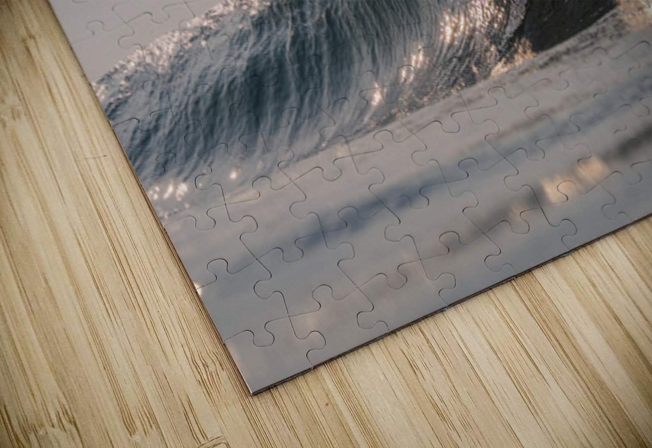 SILVER WINGS Terence Pieters ORANGE ROCKS Puzzle