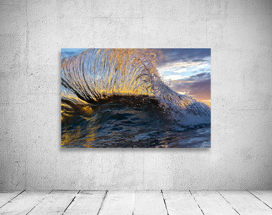 Lion Fish by Terence Pieters ORANGE ROCKS