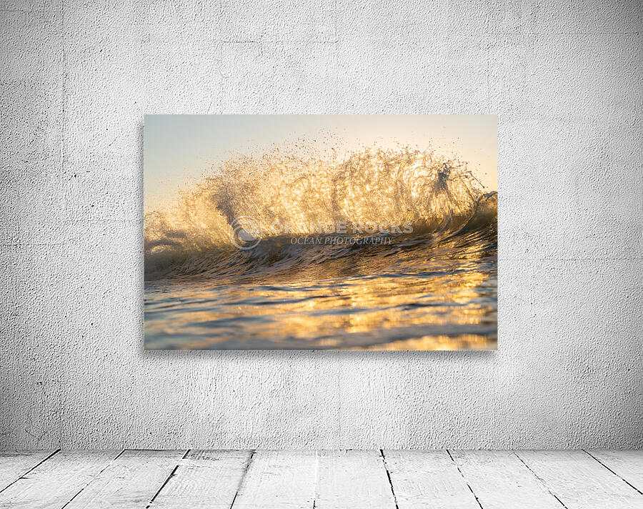 FORCE FIELD Wall Preview