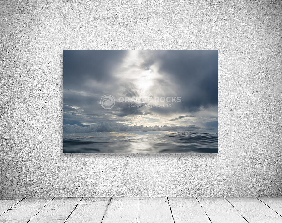 ANGEL WINGS  Wall Preview