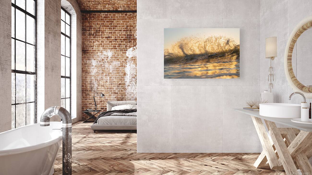 FORCE FIELD Reproduction