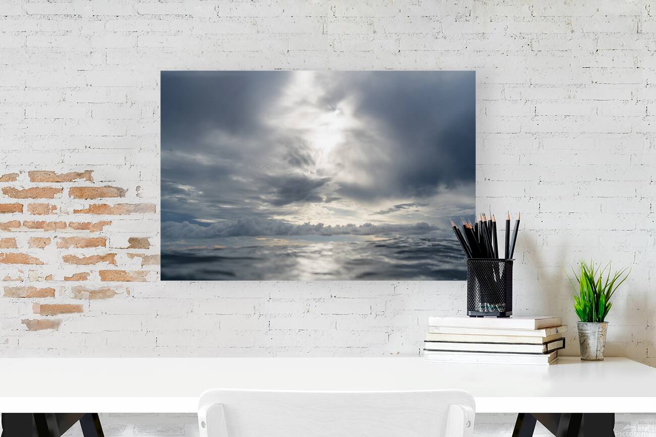 ANGEL WINGS  Reproduction