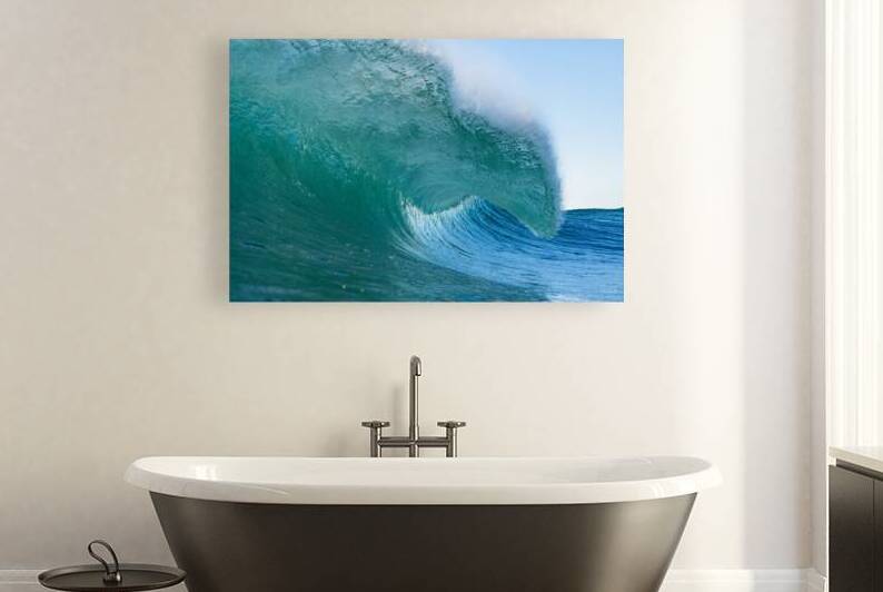 Fuzzy by Terence Pieters ORANGE ROCKS