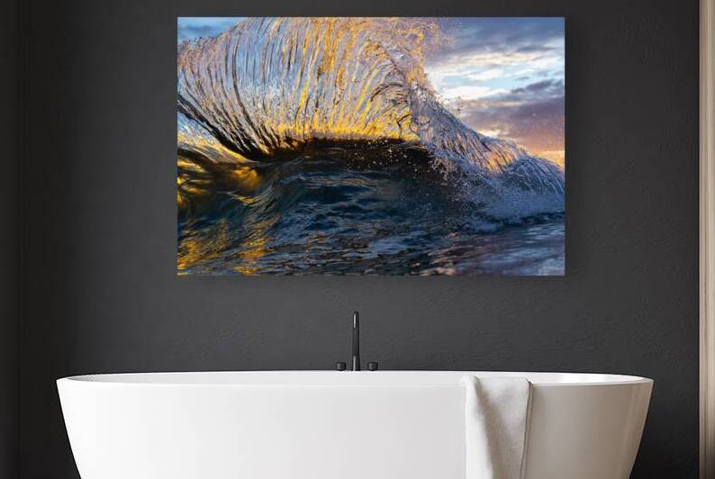 Lion Fish by Terence Pieters ORANGE ROCKS