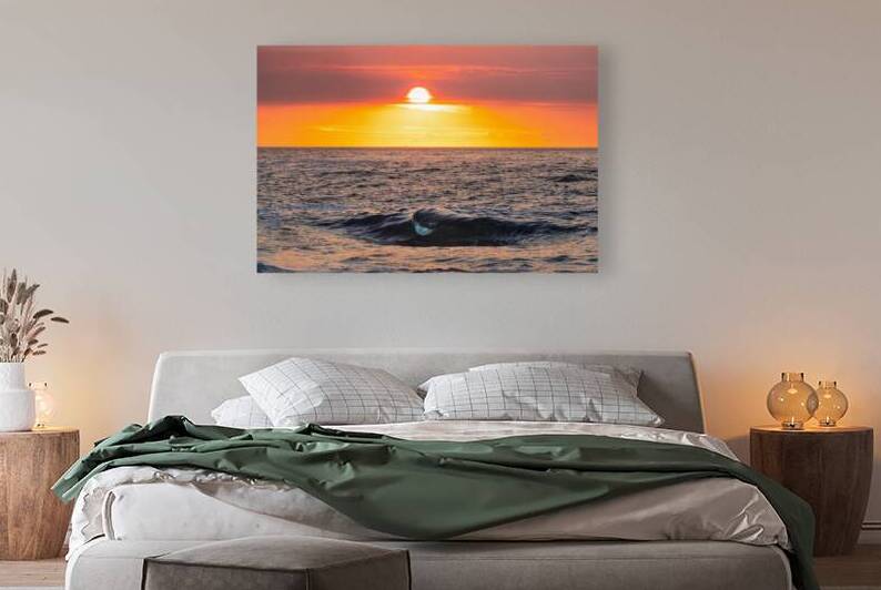 Velvet by Terence Pieters ORANGE ROCKS