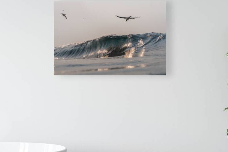 SILVER WINGS by Terence Pieters ORANGE ROCKS