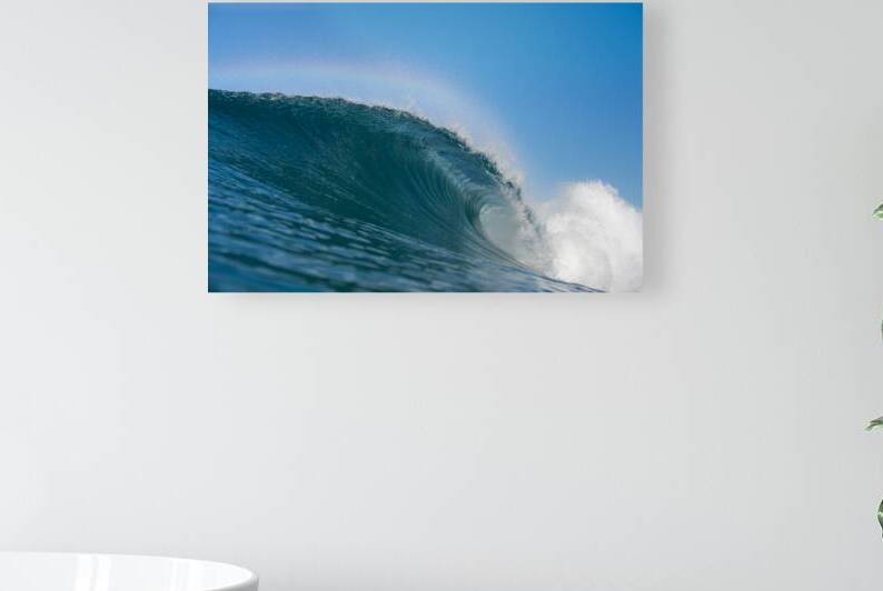 Fairy Tail by Terence Pieters ORANGE ROCKS