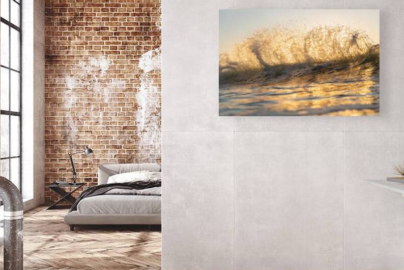 FORCE FIELD by Terence Pieters ORANGE ROCKS