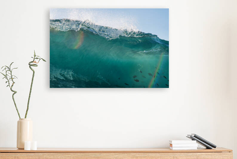 Rainbow Fish by Terence Pieters ORANGE ROCKS