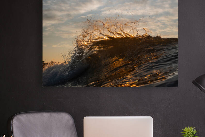 Feather by Terence Pieters ORANGE ROCKS