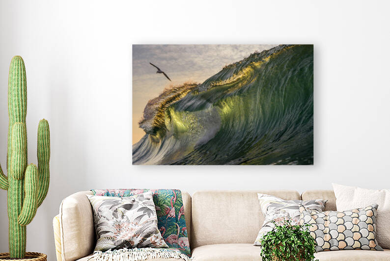 Aviate  by Terence Pieters ORANGE ROCKS