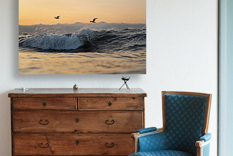 Wings by Terence Pieters ORANGE ROCKS